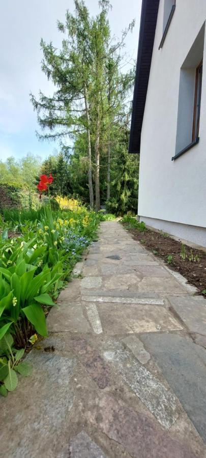 Domek Letniskowy Na Mazurach Gizycko Exterior photo